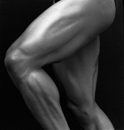 Muscular legs of sprinter, close up, studio shot