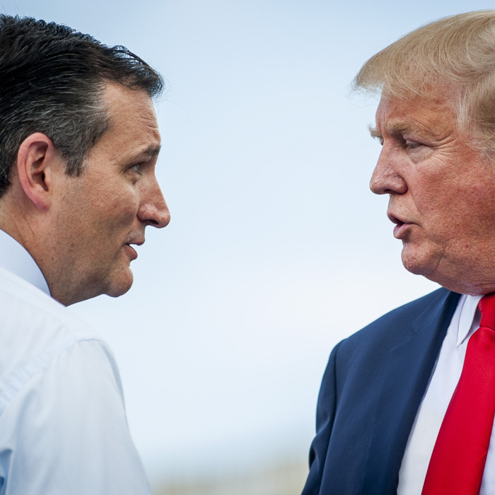 Ted Cruz And Donald Trump Attend Anti-Iran Deal Protest On Capitol Hill