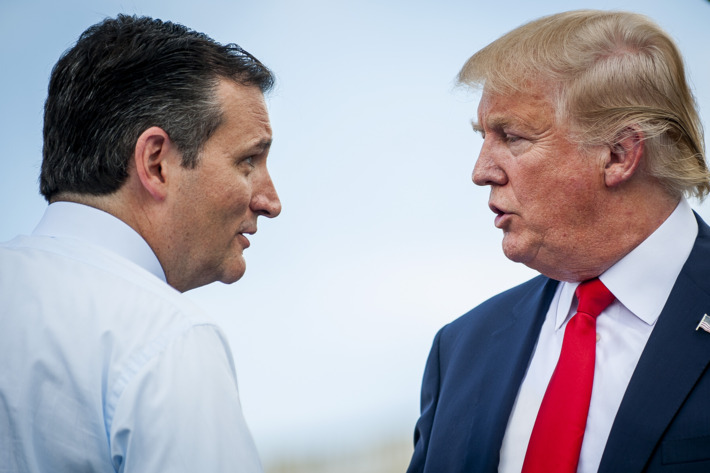 Ted Cruz And Donald Trump Attend Anti-Iran Deal Protest On Capitol Hill