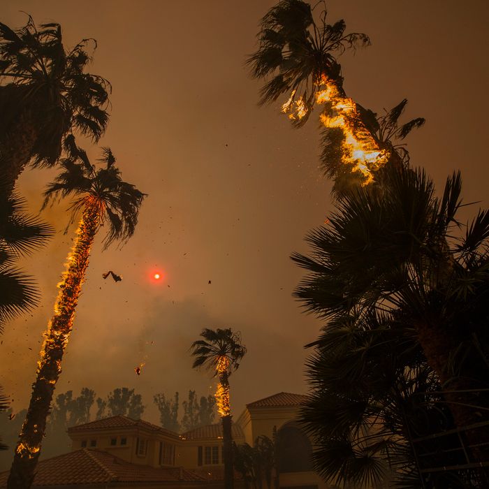 Embers falls from burning palms and the sun is obscured by smoke as flames close in on a house at the Woolsey Fire on November 9, 2018 in Malibu, California. About 75,000 homes have been evacuated in Los Angeles and Ventura counties due to two fires in the region.