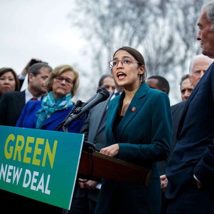 Image result for green new deal