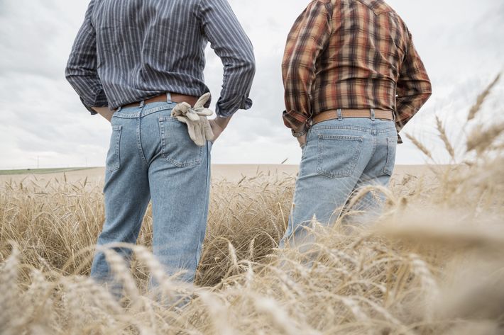 Why Straight Rural Men Have Gay Bud Sex With Each Other Science Of Us 
