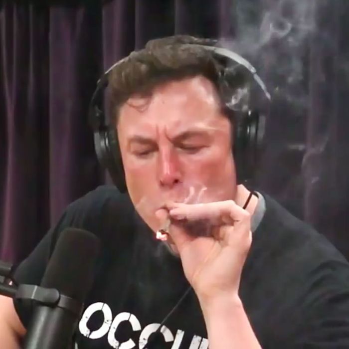 Image result for Elon Musk weed