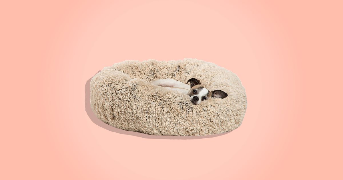 15 Best Dog Beds 2018: Foam, Suede, Shag, Cooling