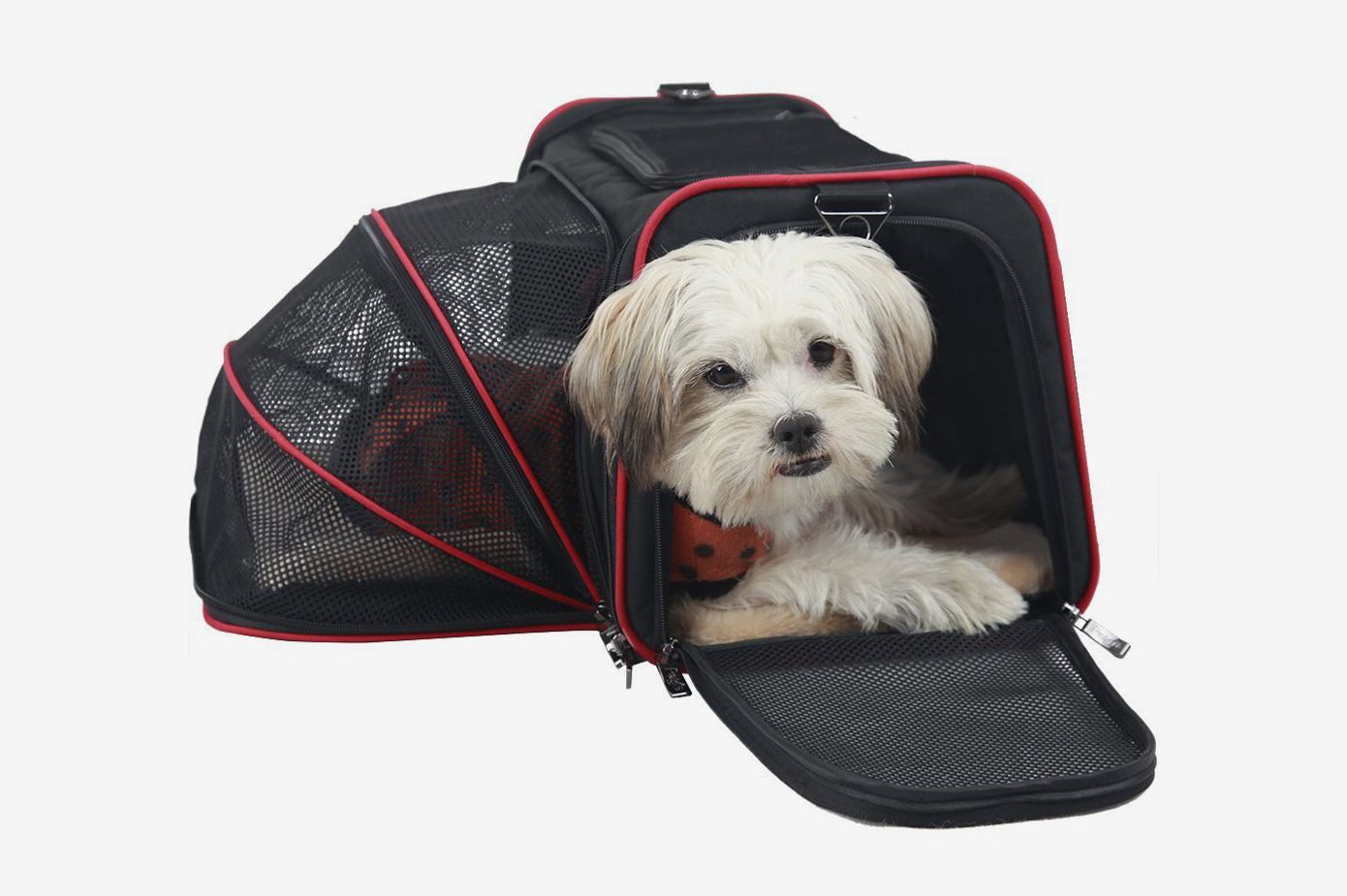 13 Best Dog Carriers on Amazon 2019