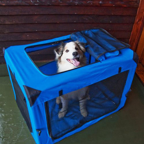 13 Best Dog Carriers on Amazon 2019