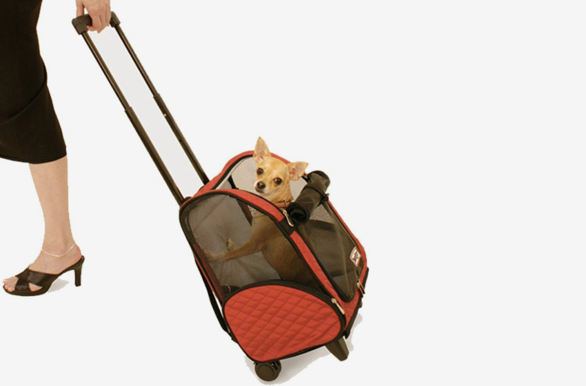 13 Best Dog Carriers on Amazon 2019