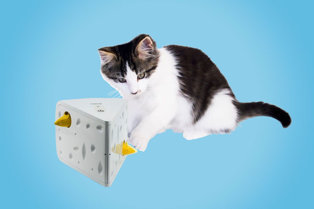 automatic mouse cat toy