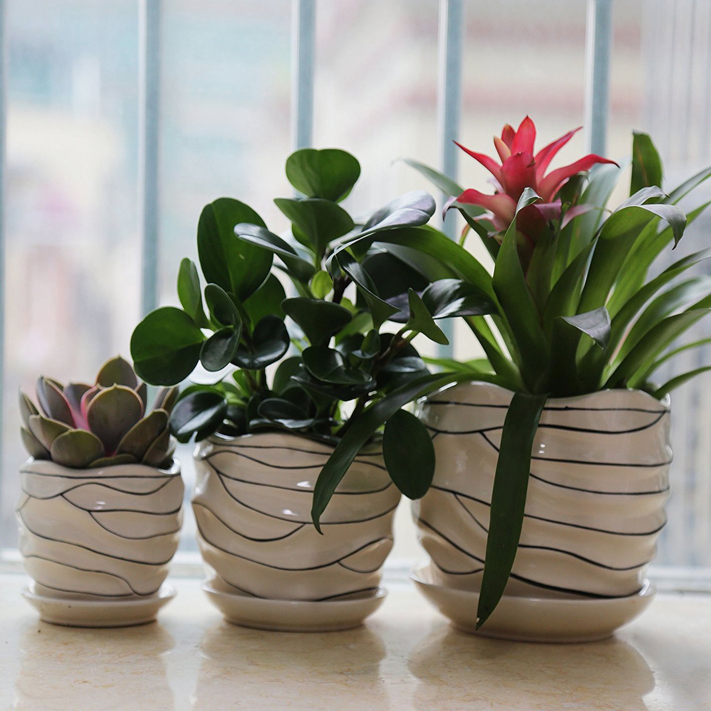 26 Best Pots and Planters on Amazon 2019 The Strategist 
