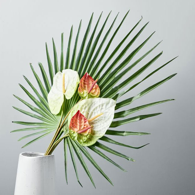 18 Best Mother’s Day Flowers to Buy Online 2019