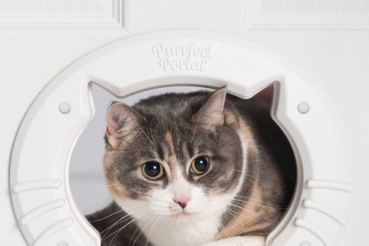 14 Best Pet Doors Sliding Glass, Screen, & More 2018