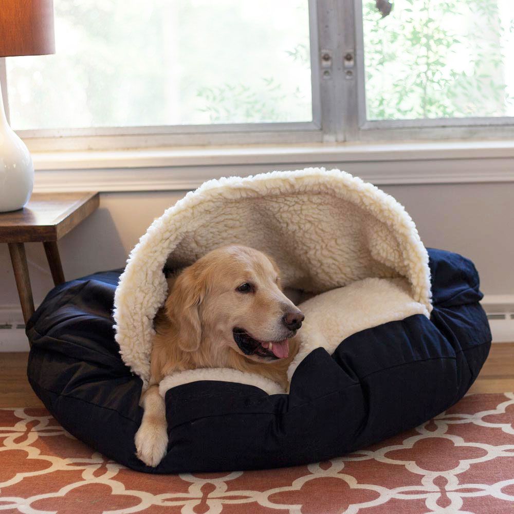 Best Dog Beds, According to Dog Experts 2019
