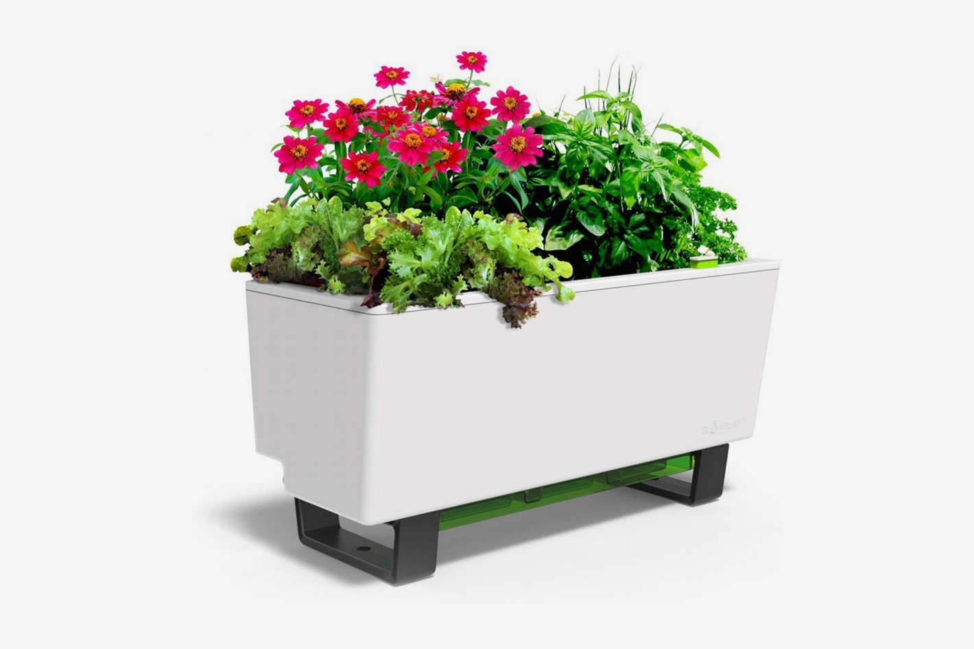 Glowpear Urban Garden Self-Watering Planter