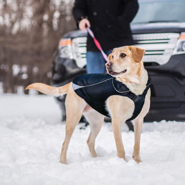 9 Best Dog Raincoats & Boots, According to Dog Walkers: 2019 | The ...