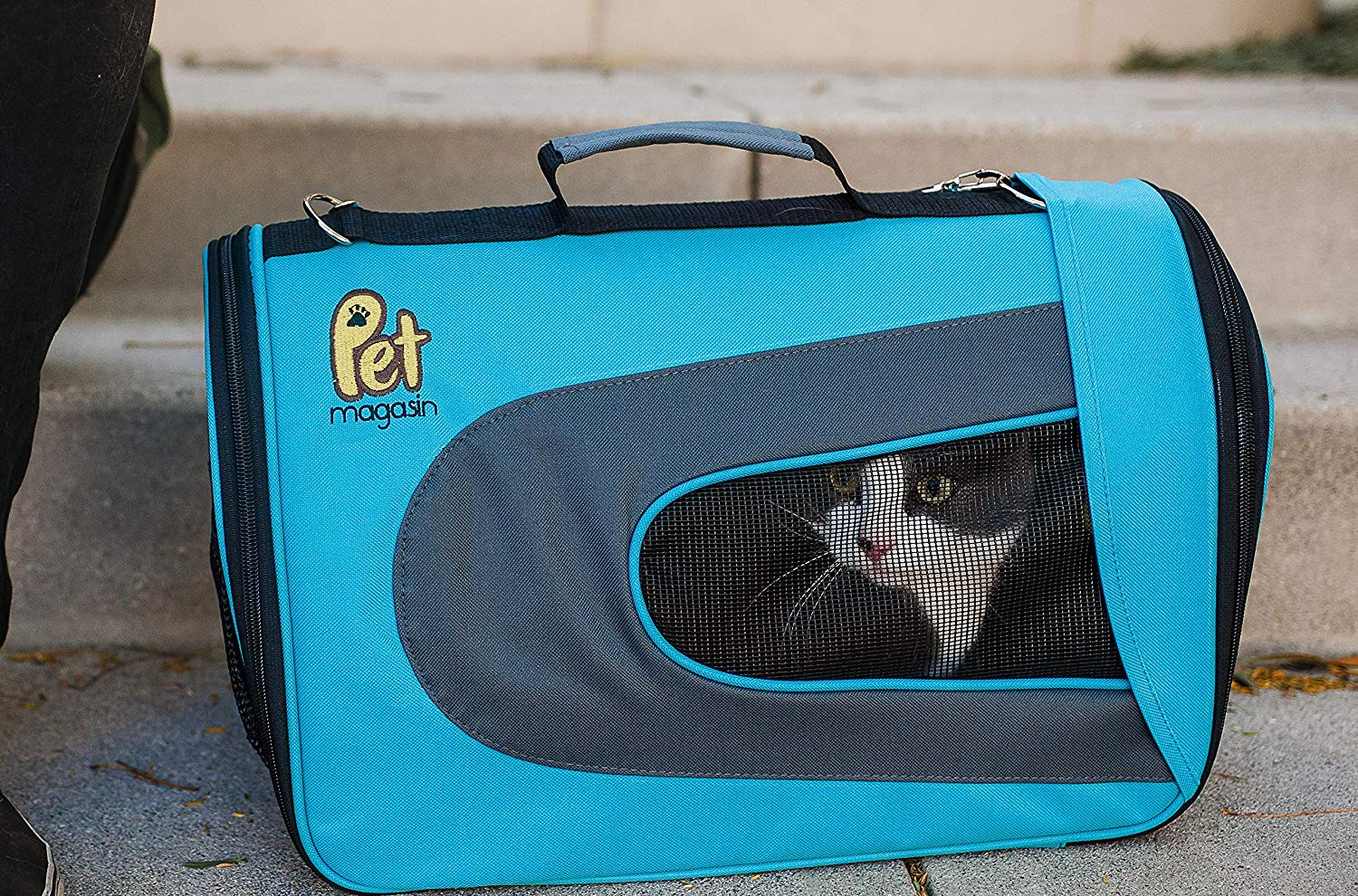 best cat carrier for walking