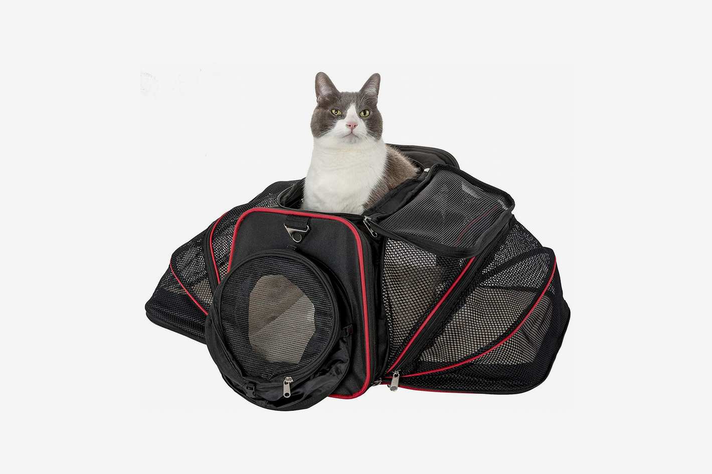 10 Best Cat Carriers 2019 The Strategist New York Magazine