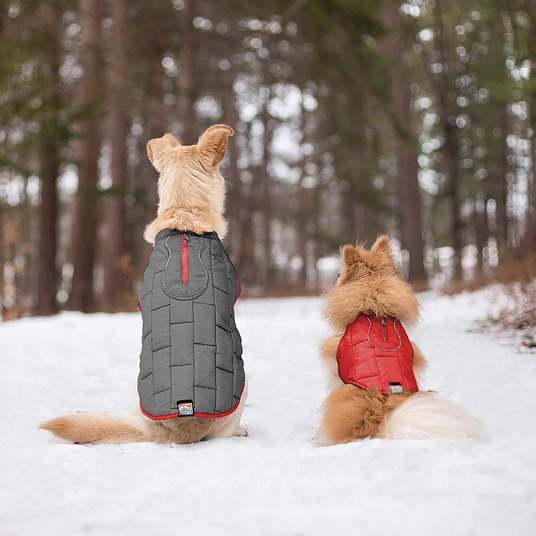 13 Best Dog Carriers on Amazon 2019