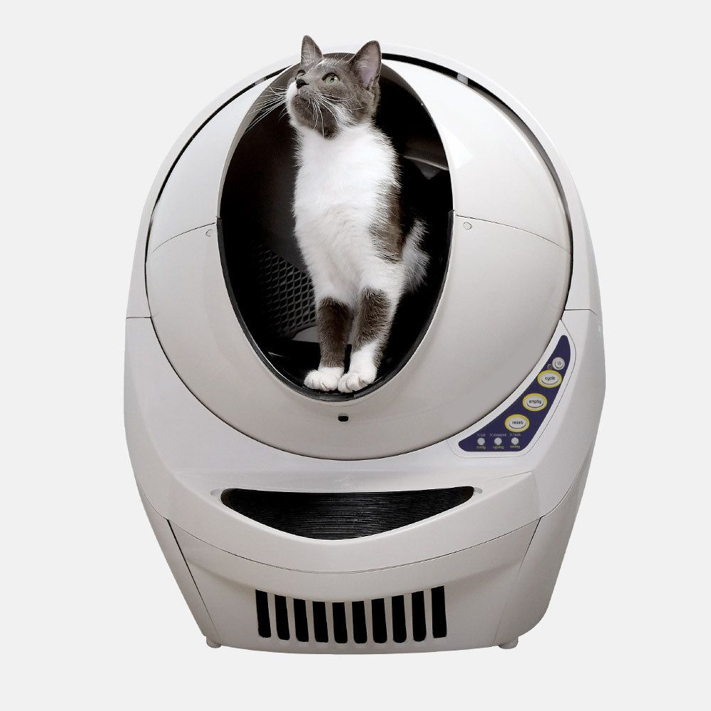 9 Best Litter Boxes for Cats 2019