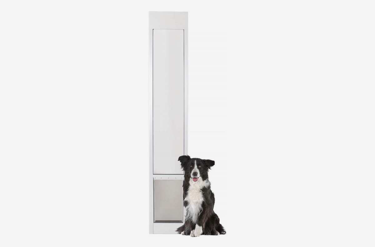 9 Best Dog Doors 2019