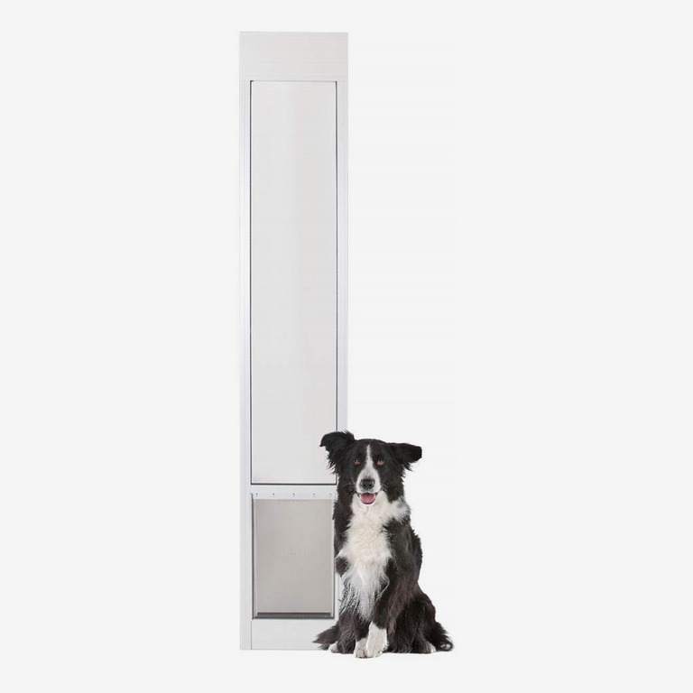 9 Best Dog Doors 2019