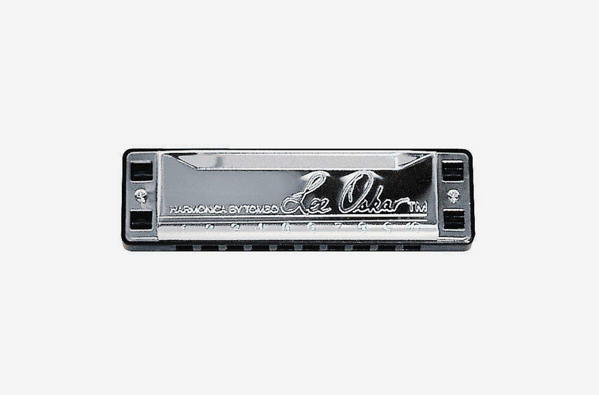 6 Best Harmonicas for Beginners 2019
