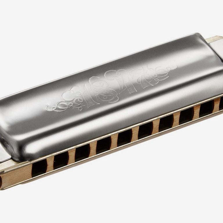 6 Best Harmonicas for Beginners 2019