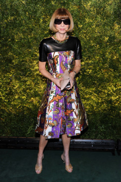 Anna wearing <a href=