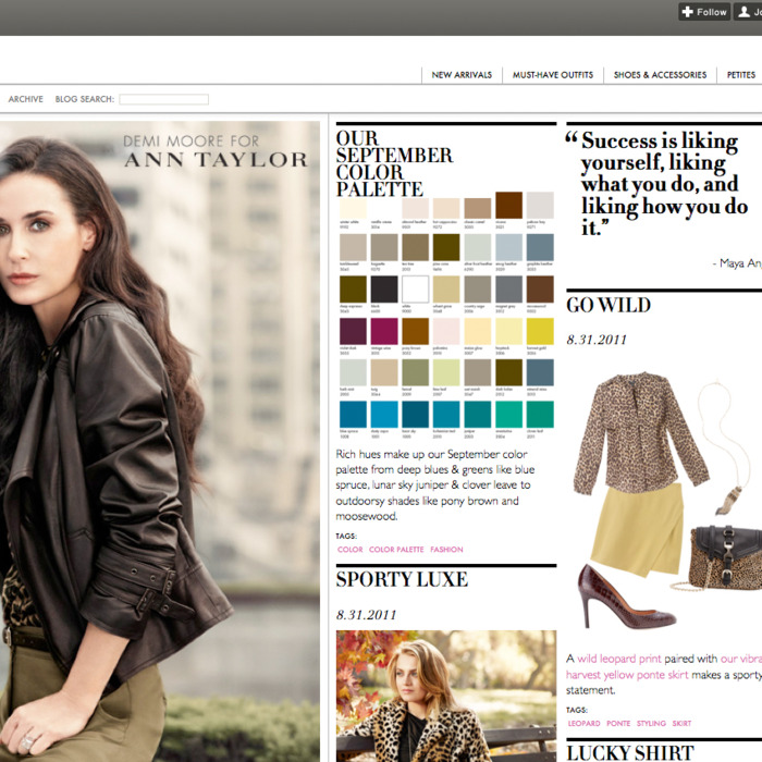 Ann Taylor's Tumblr.
