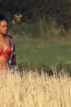 What the farmer saw.