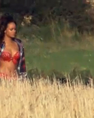 What the farmer saw.