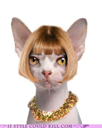Anna in feline form.