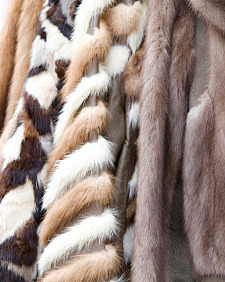 Fur is flying in West Hollywood.