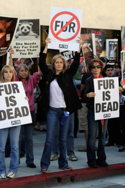 Fur protesters in Beverly Hills.