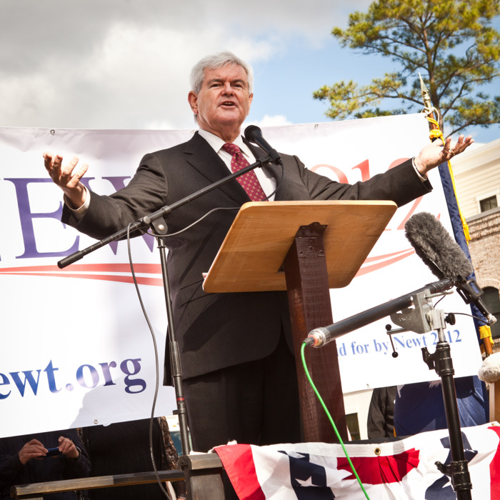 BLUFFTON, SC - NOVEMBER 29: Republican presidential candidate Newt Gingrich speaks at a townhall meeting on November 29, 2011 in Bluffton, South Carolina. Gingrich spoke to supporters about illegal immigration as part of a three-day swing through South Carolina. (Photo by Richard Ellis/Getty Images)