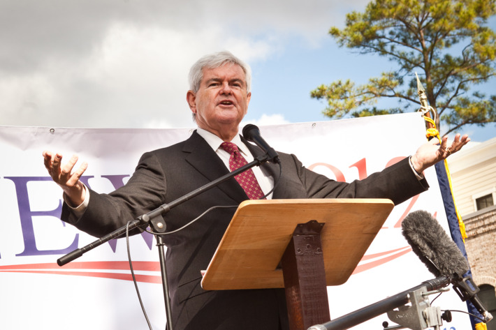 BLUFFTON, SC - NOVEMBER 29: Republican presidential candidate Newt Gingrich speaks at a townhall meeting on November 29, 2011 in Bluffton, South Carolina. Gingrich spoke to supporters about illegal immigration as part of a three-day swing through South Carolina. (Photo by Richard Ellis/Getty Images)