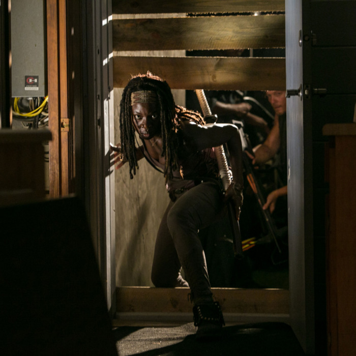 Michonne (Danai Gurira) - The Walking Dead - Season 3, Episode 8 .
