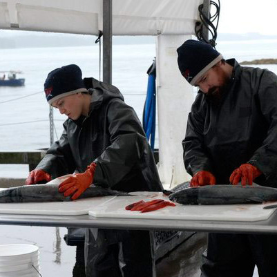 Slightly less intense than <i>Deadliest Catch</i>.
