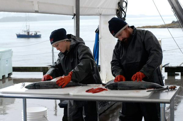 Slightly less intense than <i>Deadliest Catch</i>.