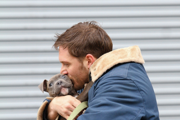 Tom Hardy spotted shooting scenes with a cute puppy for his upcoming movie 'Animal Rescue' in Brooklyn, NYC.
<P>
Pictured: Tom Hardy
<P><B>Ref: SPL509299 110313 </B><BR/>
Picture by: Splash News<BR/>
</P><P>
<B>Splash News and Pictures</B><BR/>
Los Angeles: 310-821-2666<BR/>
New York: 212-619-2666<BR/>
London: 870-934-2666<BR/>
photodesk@splashnews.com<BR/>
</P>