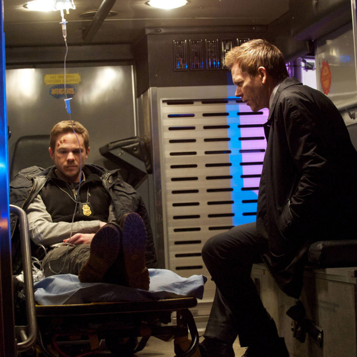 THE FOLLOWING