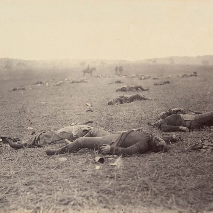 Image result for the agony of a young man's American civil war death