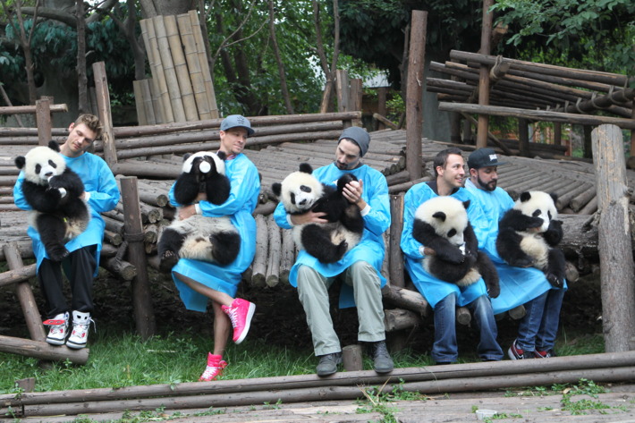 CHENGDU, CHINA - MAY 30: (CHINA OUT) Members of the Backstreet Boys hold giant pandas at the Giant Panda Breeding Research Institute during their China Tour on May 30, 2013 in Chengdu, Sichuan Province of China. (Photo by ChinaFotoPress/ChinaFotoPress via Getty Images)