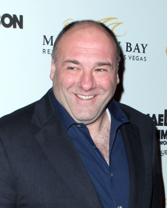 LAS VEGAS, NV - DECEMBER 03: James Gandolfini arrives at the Las Vegas premiere of Michael Jackson THE IMMORTAL World Tour by Cirque du Soleil at the Mandalay Bay Resort & Casino December 3, 2011 in Las Vegas, Nevada. (Photo by Jeff Bottari/Getty Images)