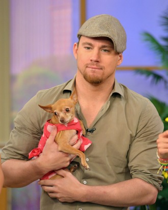MIAMI, FL - JUNE 24: Channing Tatum appears On Univisions Despierta America to promote film