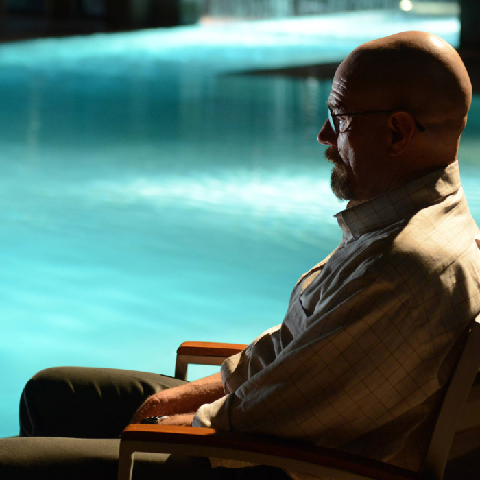 Walter White (Bryan Cranston) - Breaking Bad