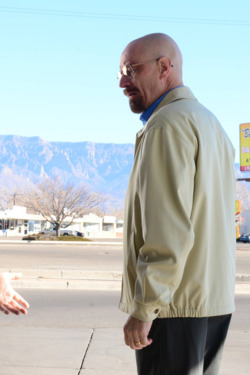 Saul Goodman (Bob Odenkirk) and Walter White (Bryan Cranston) - Breaking Bad _ Season 5, Episode 13 - Photo credit: Ursula Coyote/AMC