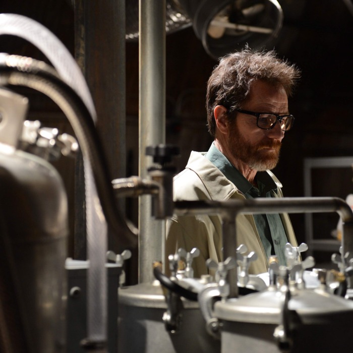 Walter White (Bryan Cranston) - Breaking Bad _ Season 5, Episode 16 - Photo Credit: Ursula Coyote/AMC