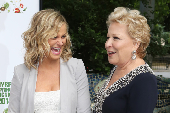 Cynthia Nixon, Amy Poehler and Bette Midler attend the NYRP 13th annual spring gala at General Grant National Memorial on May 29, 2014 in New York City.