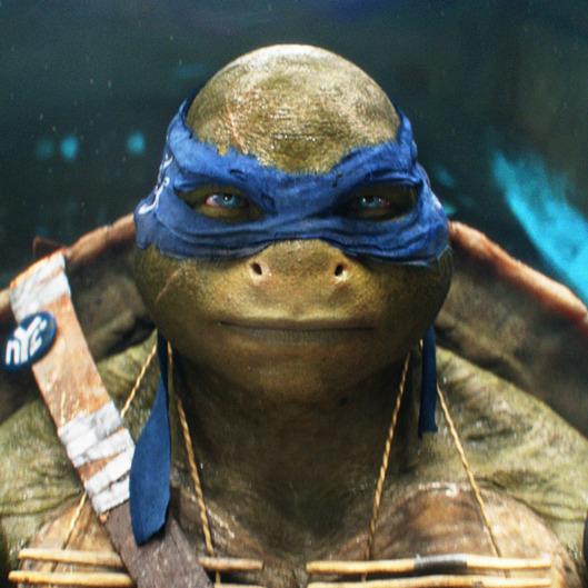 Ninja Turtles Shreds the Weekend Box Office -- Vulture