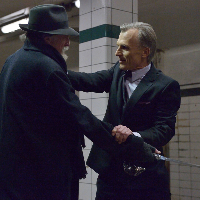 THE STRAIN